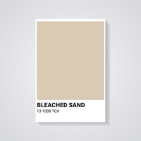 Bleached Sand Art Poster — vista posteriore