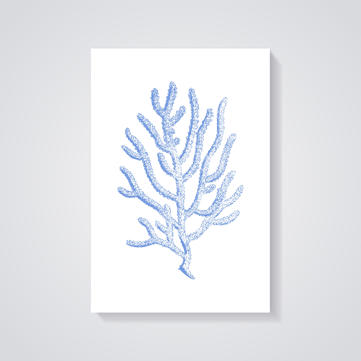 Blue Coral Sketch Poster — vista posteriore