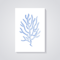 Blue Coral Sketch Poster — vista posteriore