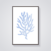 Blue Coral Sketch Poster — vista frontale