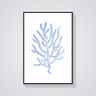 Blue Coral Sketch Poster