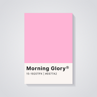 Morning Glory Pink Poster — vista posteriore