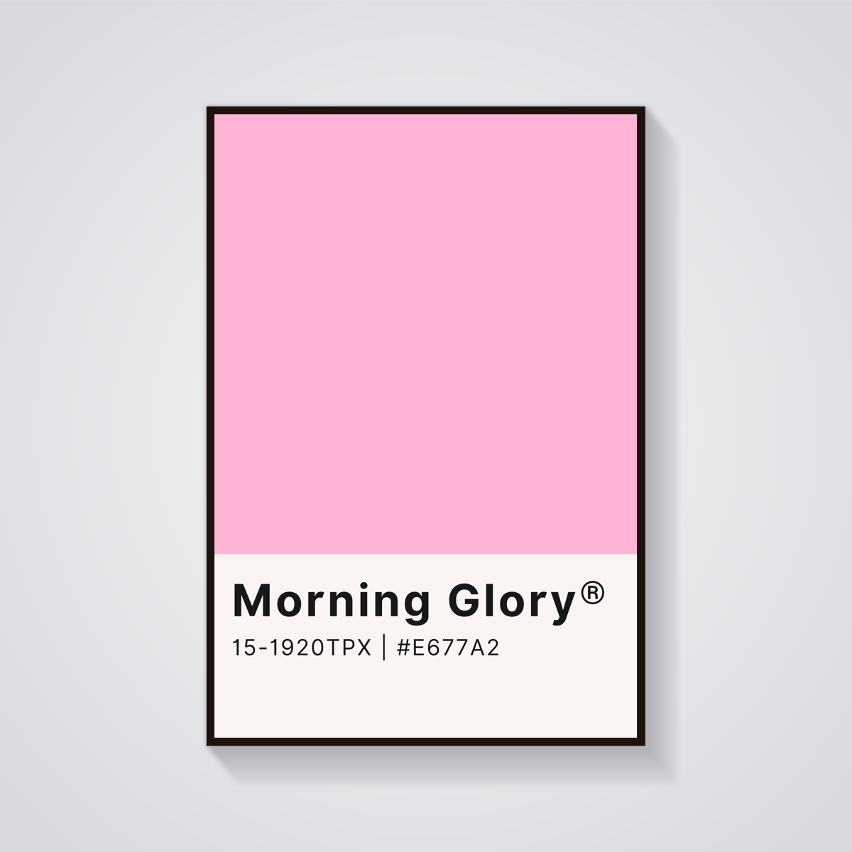 Morning Glory Pink Poster — vista frontale