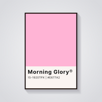Morning Glory Pink Poster — vista frontale