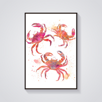 Pink Crab Trio Poster — vista frontale