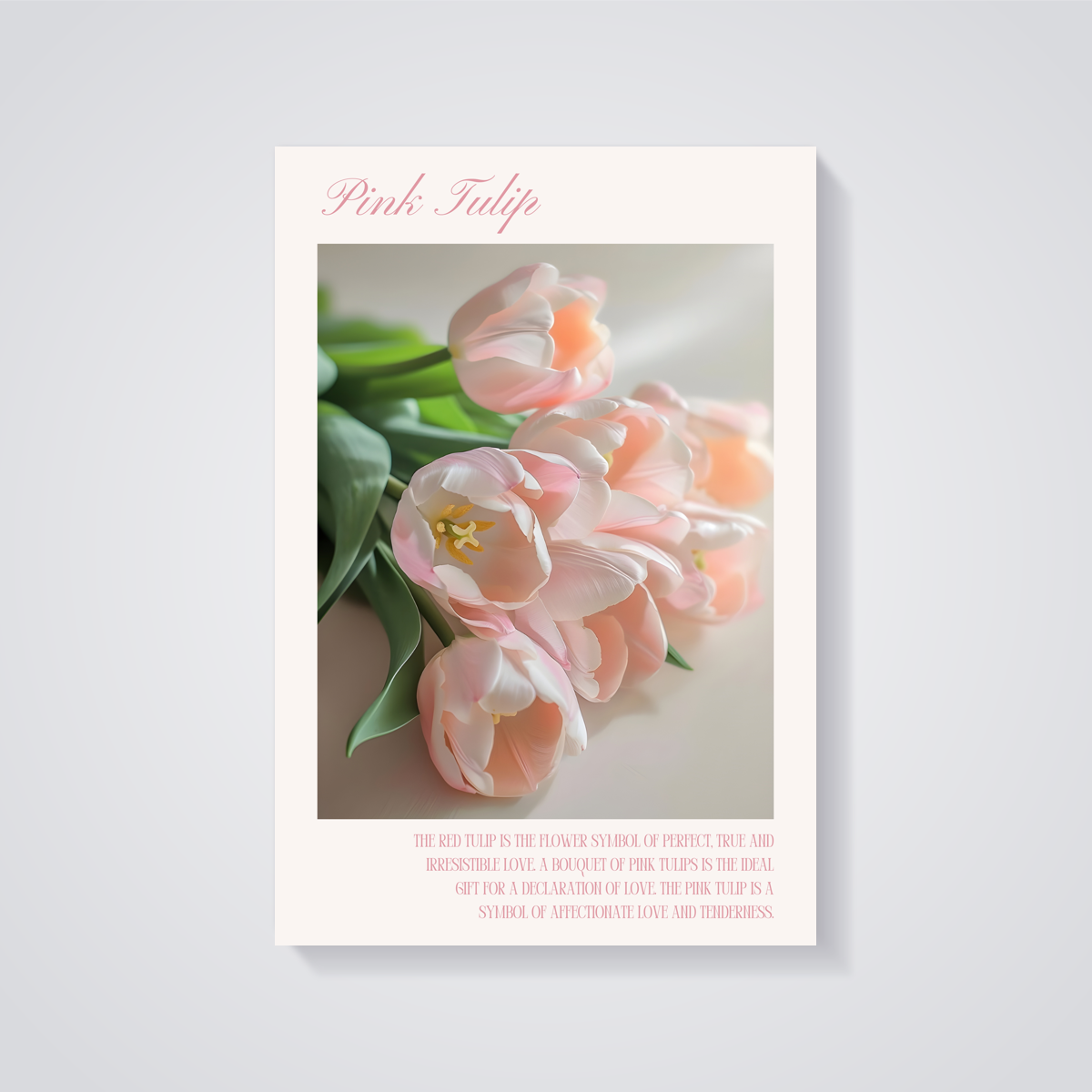 Pink Tulips Bouquet Poster — vista posteriore