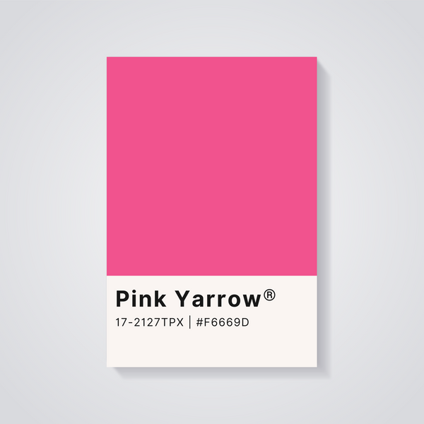 Pink Yarrow Color Poster