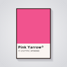Pink Yarrow Color Poster