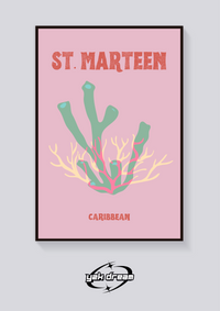 Preppy St. Marteen Coral Poster — vista posteriore