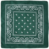 Classic Bandana Graphic — vista frontale