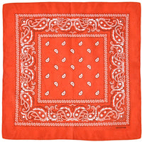Classic Bandana Graphic — in alternativa